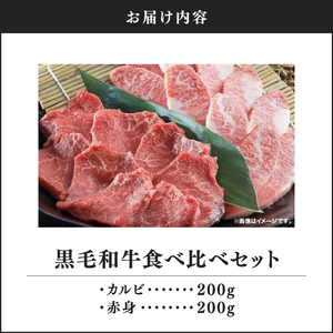 2240 黒毛和牛 食べ比べ カルビ 赤身 セット【うしの中山】 KN050-009 肉 牛肉