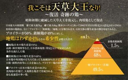 天草大王精肉セット 合計1.5kg（モモ ムネ ササミ ）天草大王 肉 お肉 鶏肉 冷凍 食べ比べ セット 熊本県 上天草市