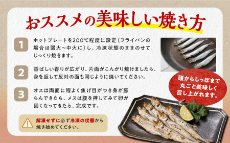 しらぬか産 本ししゃも【20尾（オスメス各10尾）】_A015-1019