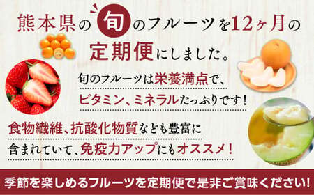 【12ヶ月定期便】熊本県フルーツ 12ヶ月定期便 ｜ フルーツ 果物 くだもの 苺 みかん 金柑 すいか メロン 梨 柿 旬 熊本県産