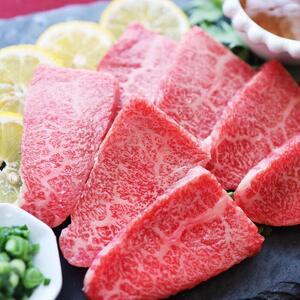 牛ハラミ 牛タン 焼肉 3種 セット 各250g (計750g)