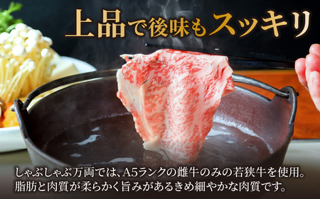 若狭牛A5ランクお試しセット[B-037010]