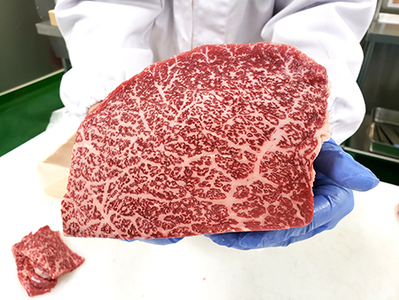 お肉博士と工場見学　近江牛スゴーイ！～お持ち帰りできる近江牛500g付～【CB13W】