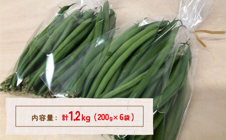 【2026.7月以降順次出荷】さやいんげん (200g × 6袋) 1.2kg サイズ混合 北海道 豊浦町 
