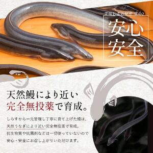 【最速発送】高知県 仁淀川産 うなぎ 蒲焼 2尾 （約400g） 鰻 鰻蒲焼 鰻蒲焼き 完全無投薬 仁淀川 国産 うなぎ蒲焼き ギフトセット うな重 ひつまぶし ウナギ 蒲焼 蒲焼き 鰻蒲焼き うなぎ 高知県 高知市 土佐 鰻 おすすめ ウナギ プレゼント ギフト 贈り物 贈答  [ATBE008] スピード 最短 最速 発送 