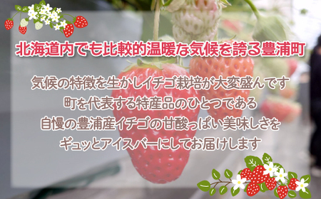 北海道 豊浦町 いちご アイス バー 48本