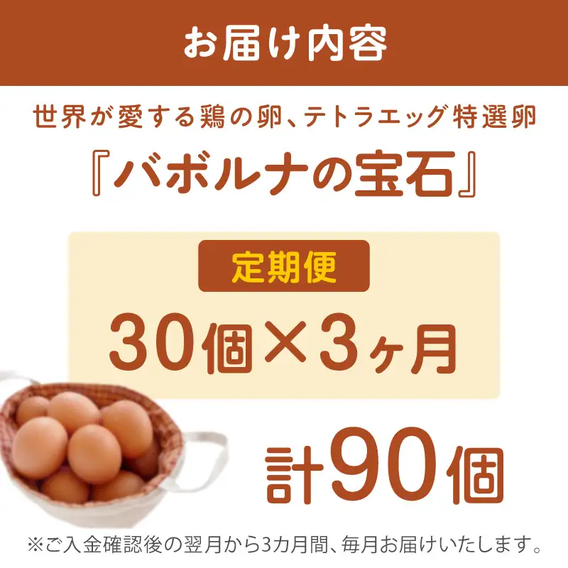 テトラエッグ特選卵『バボルナの宝石』（30個/月）【3カ月定期便】【B9-009】