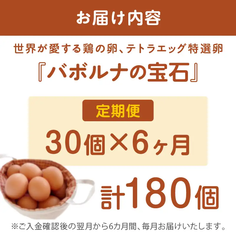 テトラエッグ特選卵『バボルナの宝石』（30個/月）【6カ月定期便】【E7-004】