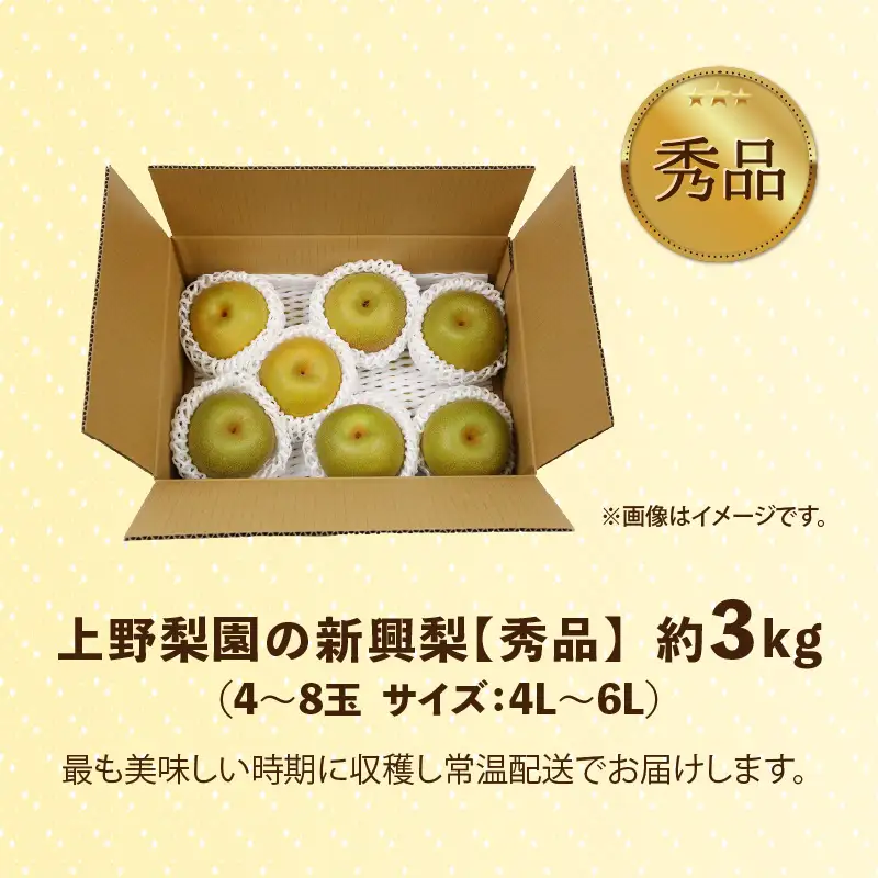 【先行予約】上野梨園の新興梨 約3kg  4L～6L【秀品】《数量限定》梨園直送！  / 期間限定 果物 フルーツ 農家直送 シャキシャキ もぎたて 旬 お取り寄せ ※2026年10月上旬より順次発送 [aw077-a026]