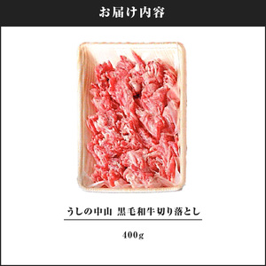 2289 うしの中山 黒毛和牛 切り落とし 400g KN050-007 肉 牛 和牛