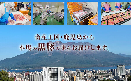 【12ヶ月定期便】鹿児島県産黒豚 5種詰合せ(約2.2kg×12回) 鹿児島 黒豚 豚肉 ロース 肩ロース 切り落とし ミンチ バラ KS-601