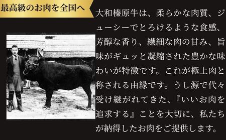 冷凍) イチボ ステーキ (150g×2枚 計300g ) ／ふるさと納税 牛肉 ステーキ イチボ 焼肉 いちぼ 大和榛原牛 稀少部位 赤身 もも A5 肉 和牛 キャンプ 父の日 母の日 お中元 お土産 赤身 正月 うし源 本店 奈良県 宇陀市