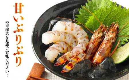 車海老 エビ サイマキ車海老の味噌漬け 計400g 200g×2パック