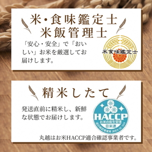 京都サンガ応援米 こしひかり 真空パック 2kg×4 精米