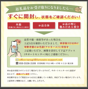 【4月20日まで】熊本県産 ゆうべに 約260g×2パック 4月終了 103-0001