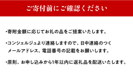 【あなただけの特別プラン】返礼品 おまかせ ！ 寄付額 50万円 コンシェルジュ コース  [WZZ007] 後からセレクト あとからセレクト あとから選べる あとから ふるさとギフト オーダーメイド おすすめ 定期便