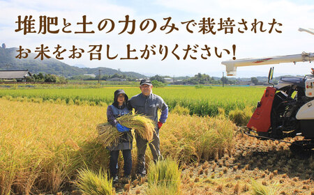 〈令和7年度産米〉ヒノヒカリ・にこまる 白米 食べ比べ 計10kg（5kg×2袋）【竹下農園】[ZEL003]
