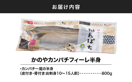 1-1 かのや カンパチフィーレ KN001-002 魚 カンパチ