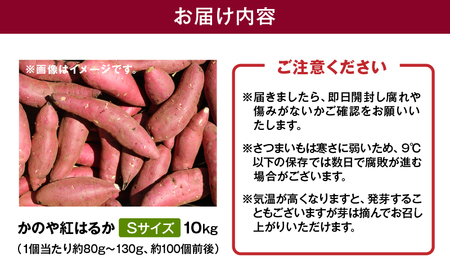 1672 かのや紅はるか 生芋 Sサイズ 10kg KN011-001 菓子 さつまいも 野菜
