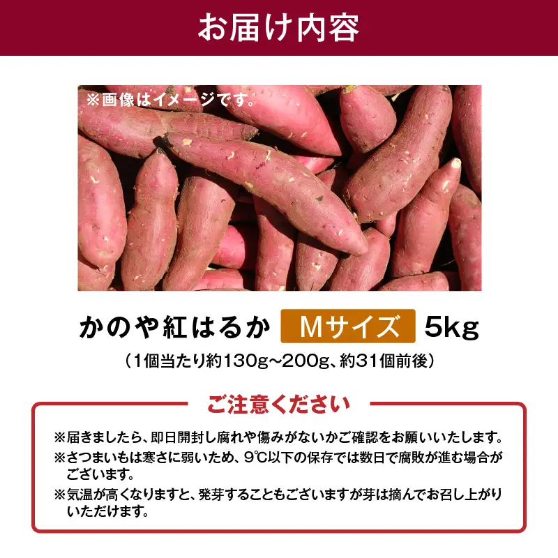 1673 かのや紅はるか 生芋 Mサイズ 5kg KN011-002-01 菓子