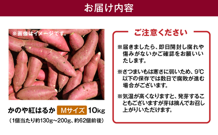 1674 かのや紅はるか 生芋 Mサイズ 10kg KN011-002-02 菓子 さつまいも 野菜