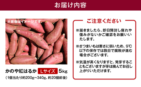 1675 かのや紅はるか 生芋 Lサイズ 5kg KN011-003-01 菓子 さつまいも 野菜