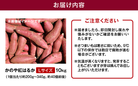 1676 かのや紅はるか 生芋 Lサイズ 10kg KN011-003-02 菓子 さつまいも 野菜