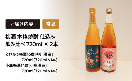 2153 梅酒 本格焼酎 仕込み 飲み比べ 720ml × 2本 KN046-006 酒 焼酎