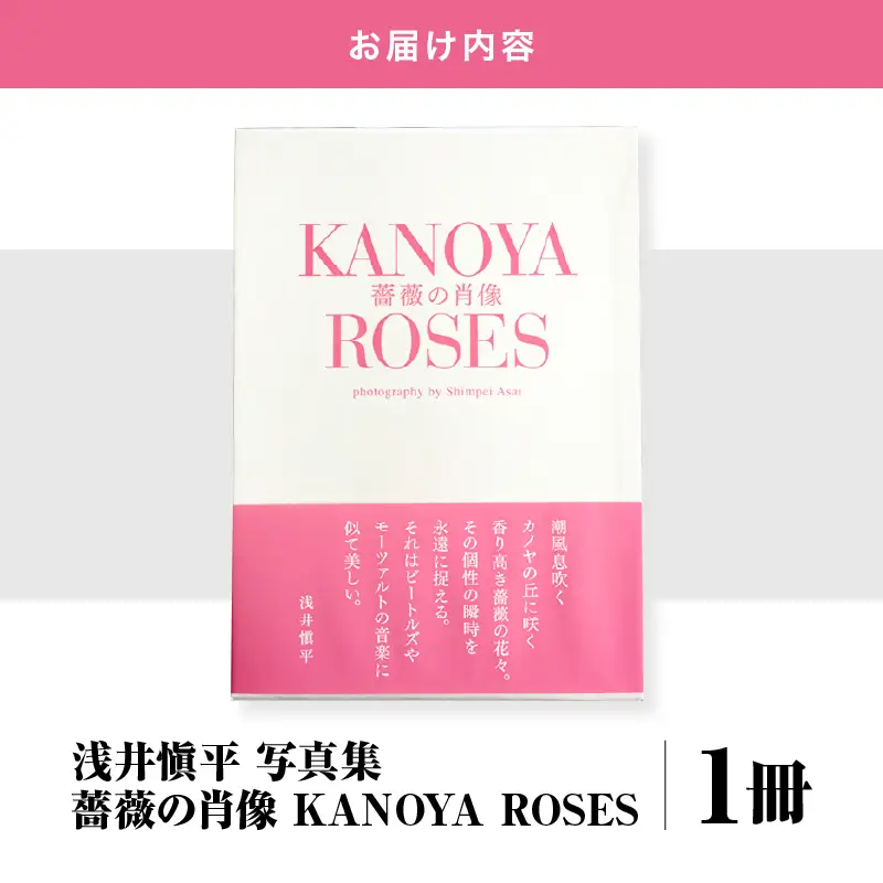 1031 浅井愼平 写真集 薔薇 の 肖像 KANOYA ROSES KN002-001 本