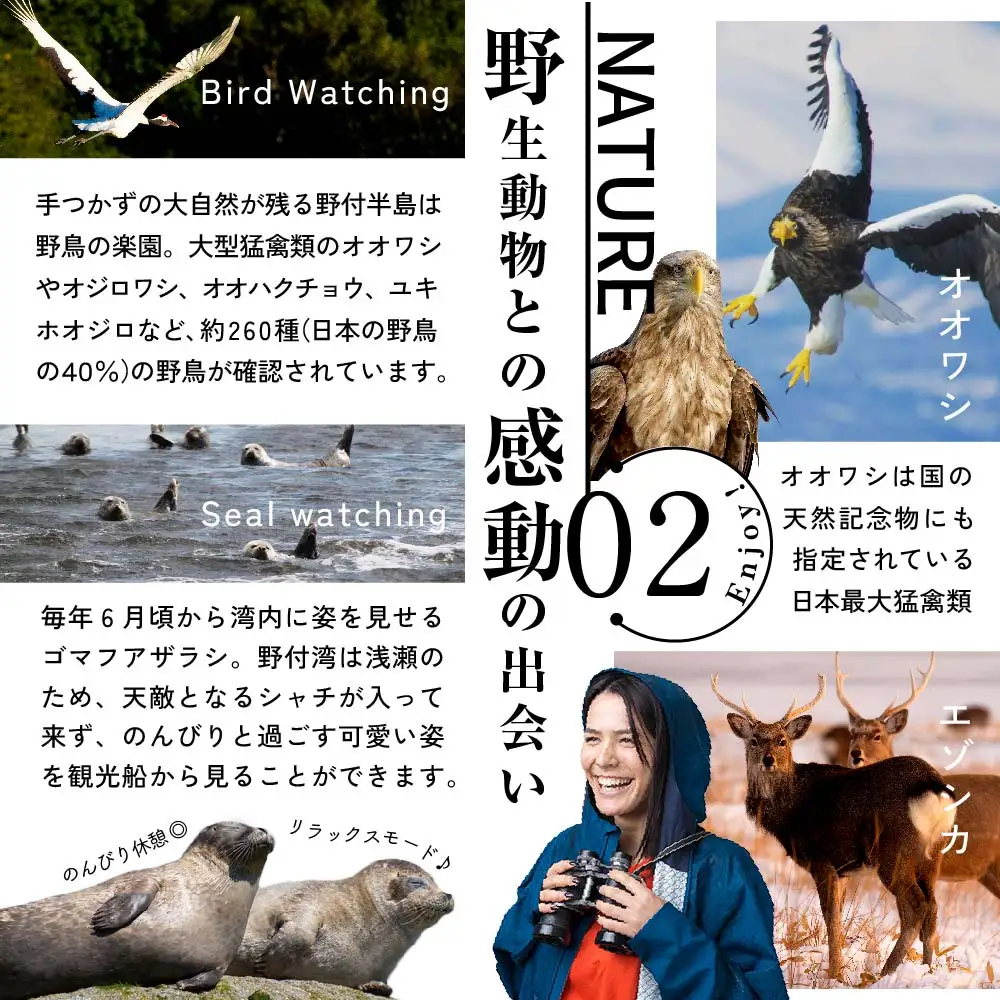 ひがし北海道 別海町の旅（日本全国発着 ANA往復 航空券 + 別海町 宿泊 1泊 北海道 旅行 旅行券 ホテル 旅館 宿泊券 ）
