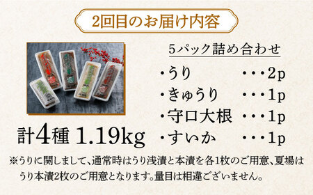 【交互に届く全2回定期便】漬物クリームチーズ 4種 × 漬物 [ABAE016] 