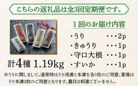 【全3回定期便】奈良漬 「琥珀漬」4種 1.19kg 詰め合わせ奈良漬け 奈良漬 [ABAE046] 