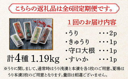 【全6回定期便】奈良漬 「琥珀漬」4種 1.19kg 詰め合わせ [ABAE047] 
