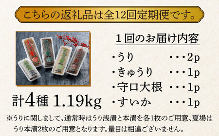 【全12回定期便】奈良漬 「琥珀漬」4種 1.19kg 詰め合わせ [ABAE048] 