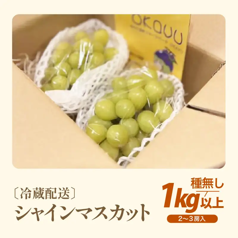【先行予約】厳選シャインマスカット 1kg以上（2～3房）【種なし】フルーツパークOKAYU / 葡萄 シャインマスカット 完熟 旬 フルーツ 果物 福井県 あわら市 あわら産 農家おすすめ 皮ごと食べれる 甘い 高級 人気 ※2026年9月中旬より順次発送 [aw007-a005]