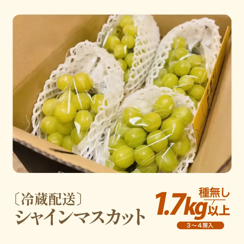 【先行予約】厳選シャインマスカット 1.7kg以上（3～4房）【種なし】フルーツパークOKAYU / 葡萄 シャインマスカット 完熟 旬 フルーツ 果物 福井県 あわら市 あわら産 農家おすすめ 皮ごと食べれる 甘い 高級 人気 ※2026年9月中旬より順次発送 [aw007-b004]