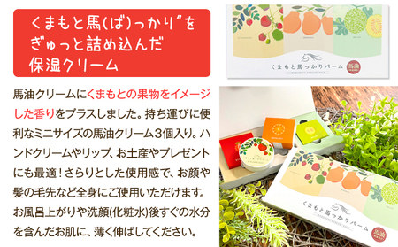 肌美和 くまもと尽くしセット 肌美和株式会社 