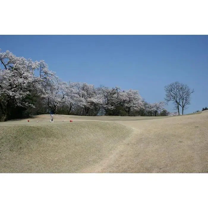 富山カントリークラブ　ゴルフ場利用券 (3,000円分）