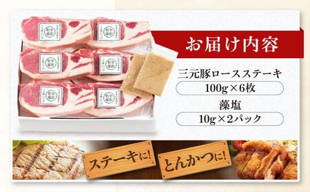 平田牧場 ロース ステーキ 600g  (100g×6枚) ※藻塩付  豚肉 とんかつ 生姜焼き[AJAP003]