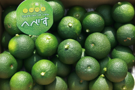 【期間限定発送】 へべす ひなたGAP認定 ふぞろい 2kg [へべすの悠美園 宮崎県 日向市 452060725]