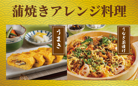 国産うなぎ蒲焼 真空パック 中 3枚 うなぎ