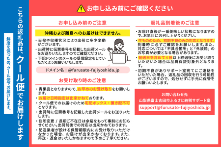 朝どれ桃 2kg×2回定期便 （白鳳系・白桃系） 【2026年発送】定期便