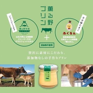 こだわりプリン3種セット 6個 〔2個×3種〕 【 プリン スイーツ お菓子 神奈川県 南足柄市 】