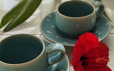 アトリエ九禅 マリンスノー カップ＆ソーサー 2客セット[ZC441]