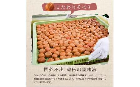 【A級品】紀州南高梅 文左(ぶんざ) 1kg 塩分9％ / 味梅 梅干 梅干し 梅干 うめぼし 南高梅 国産 梅 うめ ウメ 完熟 健康 ご飯のお供 昔ながら 贈り物 ギフト プレゼント お取り寄せ せんのうめ 和歌山県 田辺市 仙宝【spo005-2】