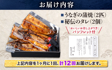 12回定期便 国産 うなぎ 2尾 CCA022  海鮮 鰻 うなぎ 贈答 ギフト ウナギ