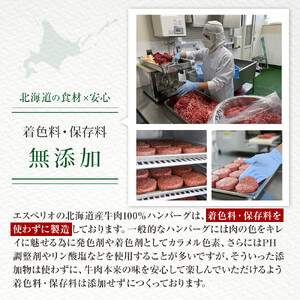レストランで人気の北海道牛肉100％ハンバーグ12個セット（2種のソース付） | ハンバーグ