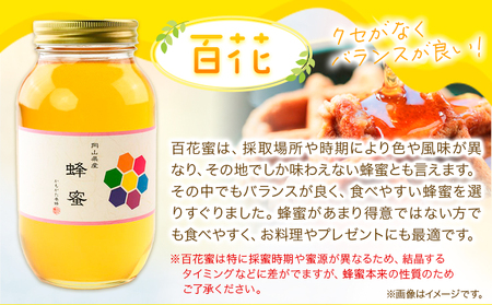 はちみつ 蜂蜜 百花 600g 2本 かもがた養蜂 《30日以内に出荷予定(土日祝除く)》 岡山県 浅口市 送料無料 ハチミツ 百花蜜 百花はちみつ 岡山県産