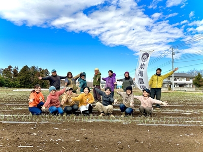 [定期便 3ヶ月ごと4回お届け] 柴海農園 旬の「おてごろやさい」セット (8種類前後) [0227]