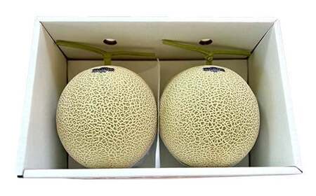 山形県産 厳選アールスメロン 秀品 3.5kg以上 2玉入り化粧箱 《先行受付2026年度9月発送開始》 青肉メロン メロン 青肉 デザート フルーツ 果物 くだもの 果実 食品 山形県 FSY-1226